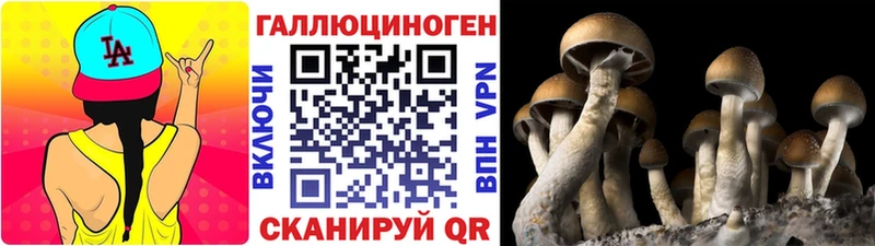 Галлюциногенные грибы прущие грибы  где купить наркотик  Мелеуз 